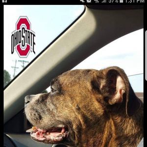 Meet your Posher, Stephen